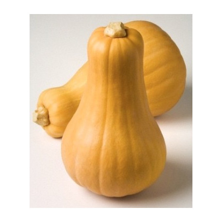 Butternut / 1 kg