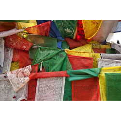 Drapeaux tibétains / Népal