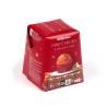 Panettoncino raisins chocolat AltroMercato/ 100g
