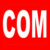 Concombre court Noa / 1kg (commande)