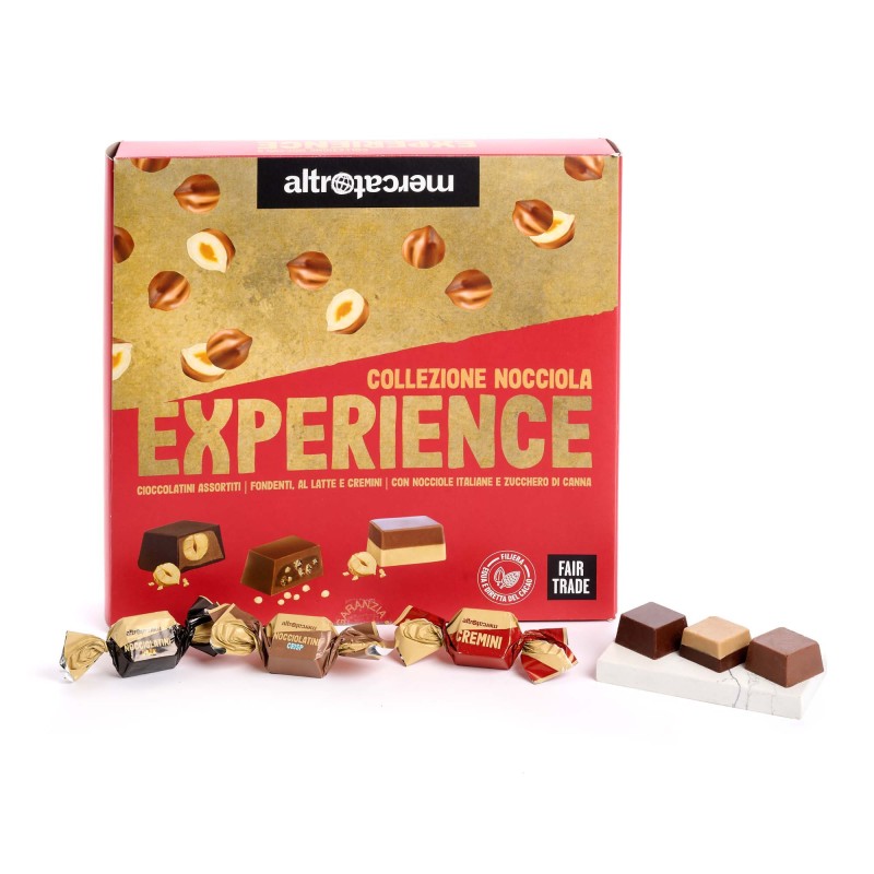 Experience - chocolats assortis noisettes / 360g (AltroMercato)