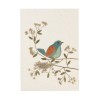 Carte de vœux / Papier artisanal et fleurs séchées - Philippines