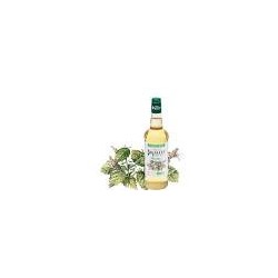 Sirop de menthe Bigallet bio / 70cl