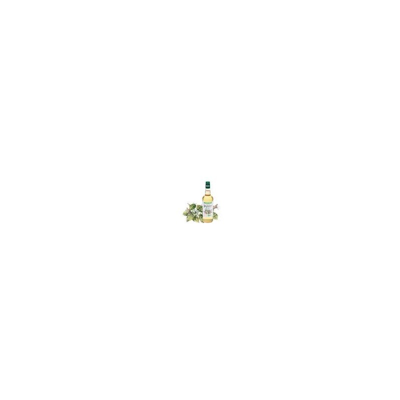 Sirop de menthe Bigallet bio / 70cl