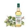 Sirop de menthe Bigallet bio / 70cl