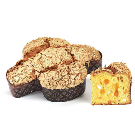 Colombe Chocolat Pêche / 750g