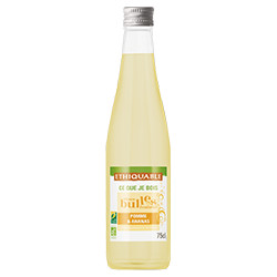 Ginger beer Ethiquable / 1L