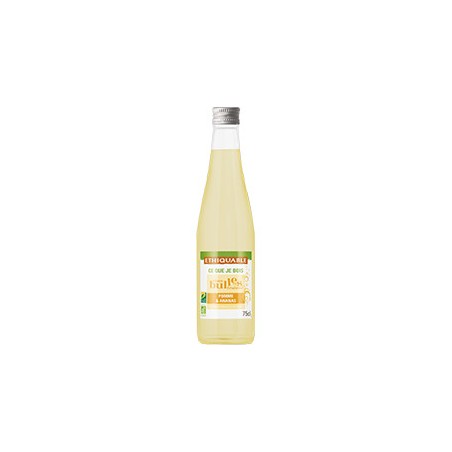 Ginger beer Ethiquable / 1L