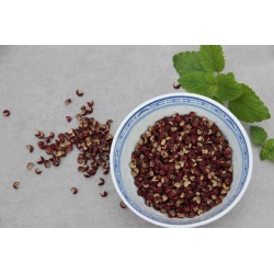 Poivre de Shichuan Rucher Abelha / 100g