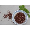 Poivre de Shichuan Rucher Abelha / 100g