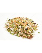 Légumes secs et Céréales